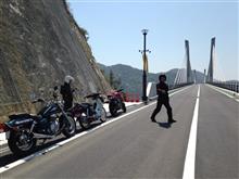新しい橋渡ってきた。