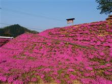 丹後半島
