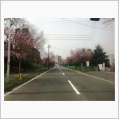 ☆　札幌のクルーズ Ｄａｉの ...