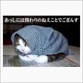 あすから…(^^ゞ