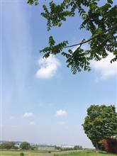 【川崎】多摩川散策(o^^o) 【川崎】多摩川散策(o^^o)