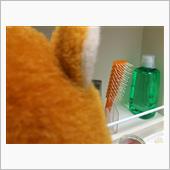 断捨離について…