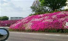 GW初日、まずは家族サービスから(。-∀-)