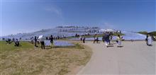 ひたち海浜公園、みはらしの丘、ネモフィラ