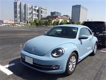 行って来ました!愛車遍歴フェス( ´∀`)∩ 行って来ました!愛車遍歴フェス( ´∀`)∩