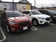 朝も早よから・・・ PARTⅡ 朝も早よから・・・ PARTⅡ
