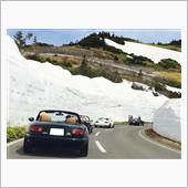 雪の回廊TRG参加