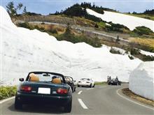 雪の回廊TRG参加