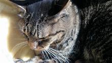 2015年5月3日は、知識を深めました～