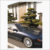 落ち着いたので
