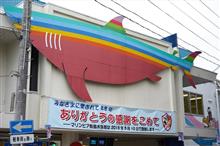 まもなく閉館の(ﾉД`)松島水族館へ行ってきました