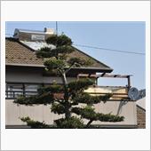 秘密基地