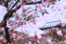 函館旅行