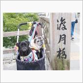 京都へ