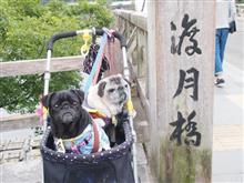 京都へ