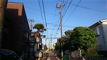 月曜日は朝当番だったヨ・・・・・Σ(￣⊥￣lll)・・・・・ 