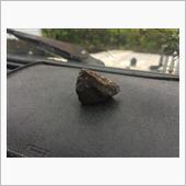 犯人確保