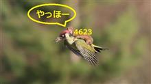 ミッション終了☆