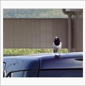 ちょっと心なごむお話♪