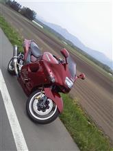 怖いもの見たさ？？
