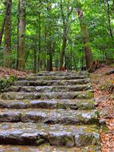 2015 春・随神・伊勢志摩・奥伊勢旅（（＾＾））10　神域境内
