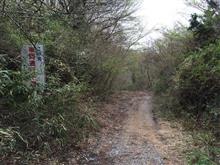 行ってきました，険道218(笑)