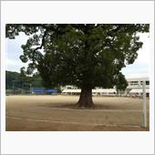 まだ 家庭は平和なり？