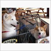 諸々の都合や理由