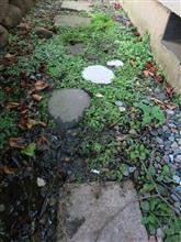 水道水漏れ修理