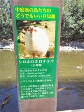 5月も終わりですね…