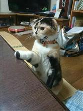 さよならの向こう側(。&#180;Д⊂)