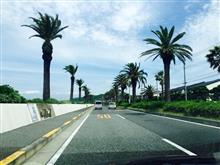 Navy Drive