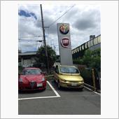 はじめてディーラーにいく