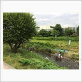 多摩川ラン→ビールクズ