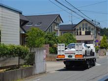 ソニックデザイン難民