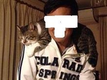 猫の襟巻