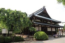 豪徳寺周辺散策。。。