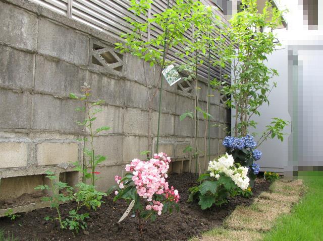 自宅庭の植栽 diy外構 まる元のブログ 飛行機雲は稜線を超ゑて みんカラ 自宅庭の植栽 diy外構 まる元のブログ 飛行機雲は稜線を超ゑて みんカラ
