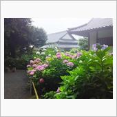 梅雨の風情(^^)