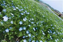 夏化粧