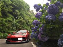 アジサイと風エイト君