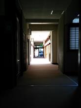 大人の山ん中
