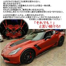 光が当たると色が変わるんだよ 光が当たると色が変わるんだよ