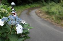 超スロー　ラクダで立ち転け　曇り山