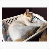 はじめまして！