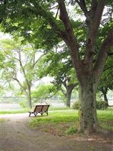 川の街　～天満川沿い編～