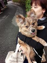 忘れてた・・・ 忘れてた・・・