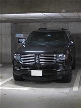 総本山下に、想定外の新顔あり（笑