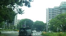 雨ばっかりですねぇ