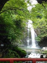 散策　～動物、虫編～